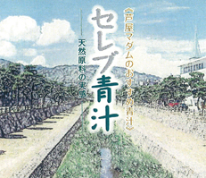 セレブ青汁 商品イメージ